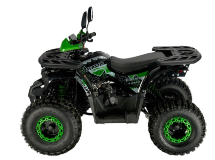 Квадроцикл AVANTIS Classic 8 New lux, фото 2