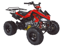 Квадроцикл ABM Scorpion 125A Квадроцикл ABM Scorpion 125A